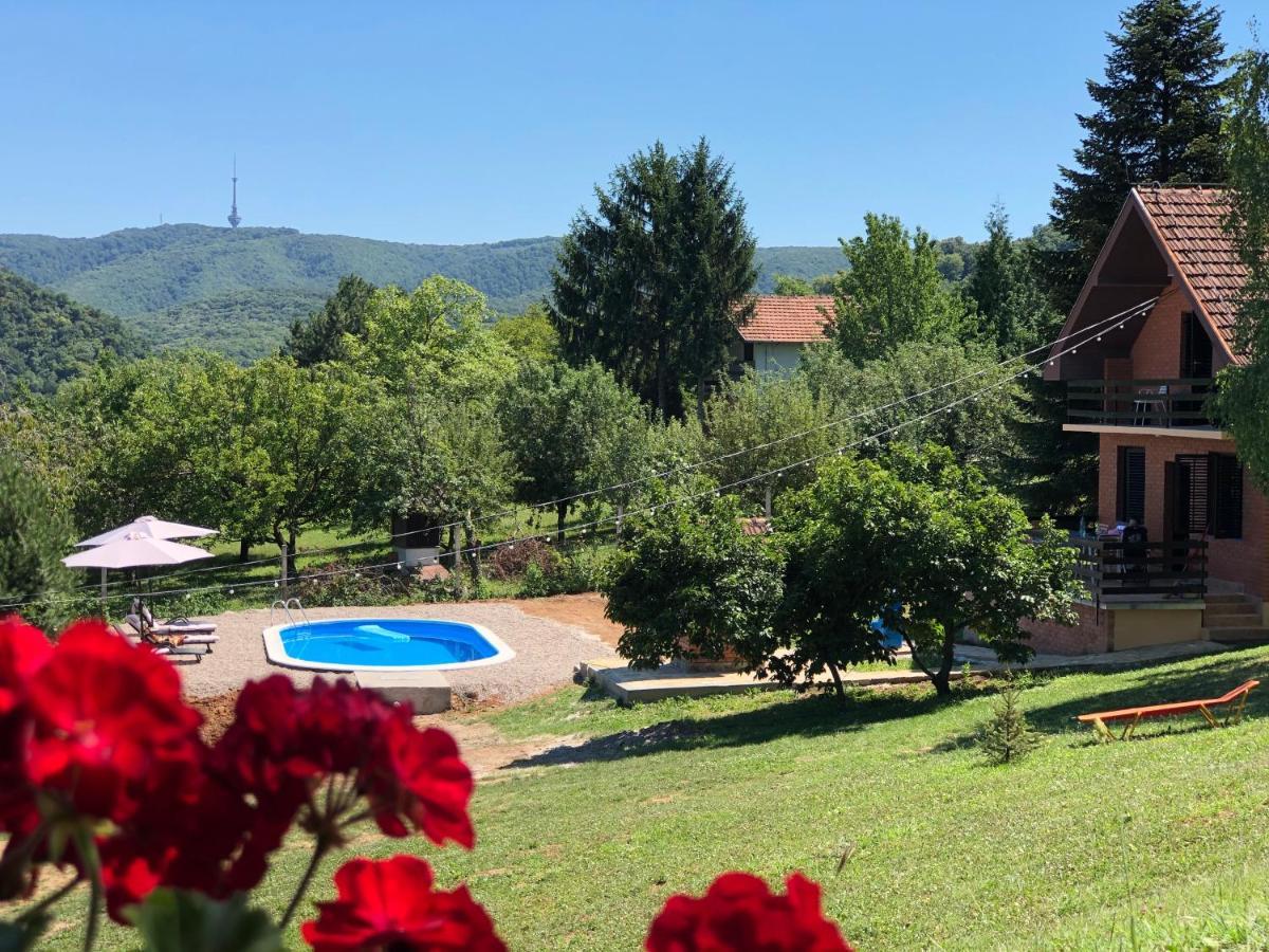 Fruska Pool House Villa Sremska Kamenica Ngoại thất bức ảnh