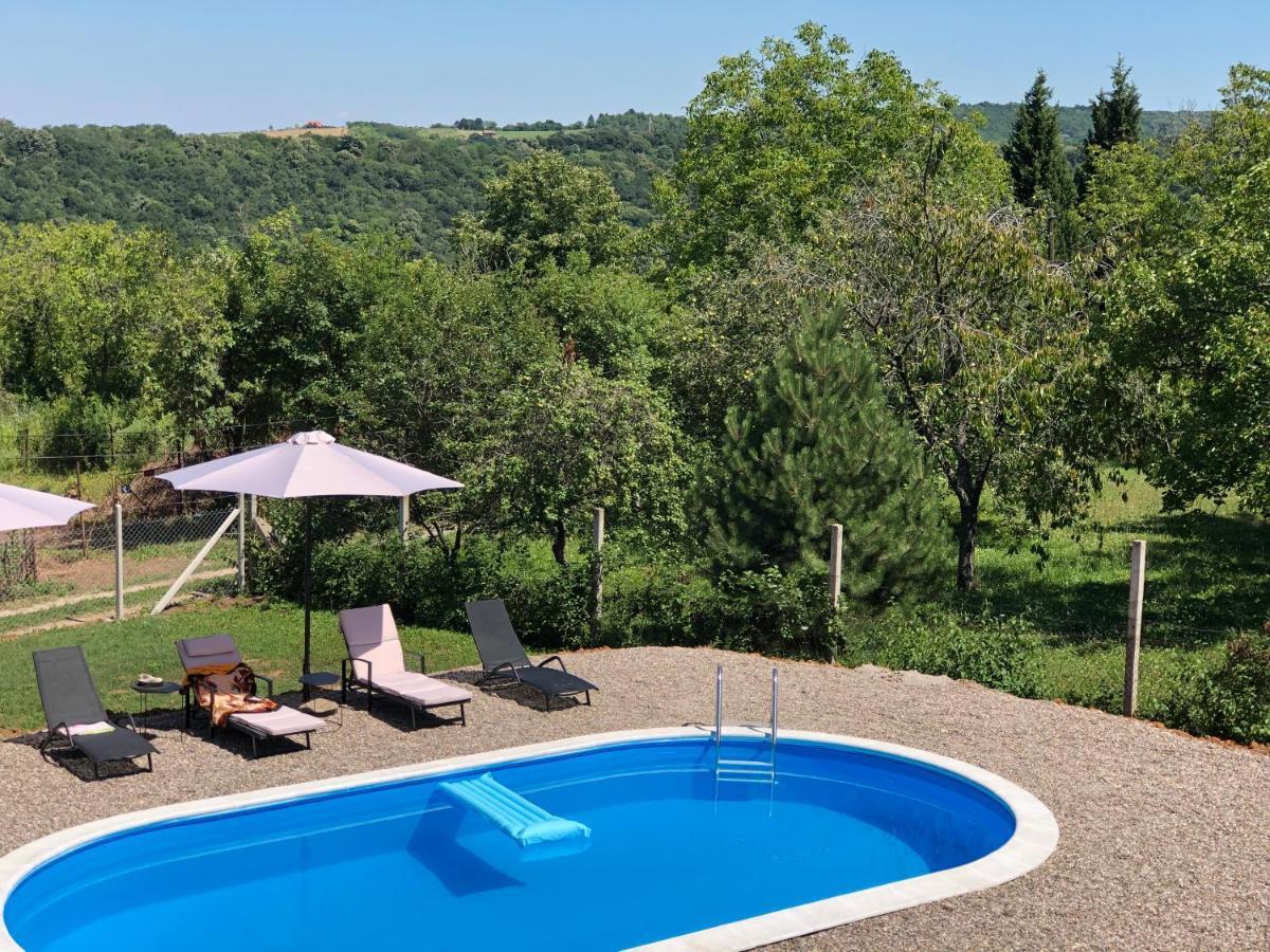 Fruska Pool House Villa Sremska Kamenica Ngoại thất bức ảnh