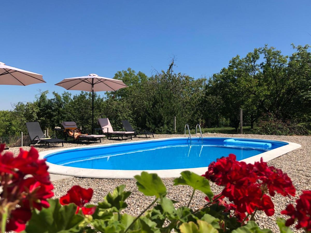 Fruska Pool House Villa Sremska Kamenica Ngoại thất bức ảnh