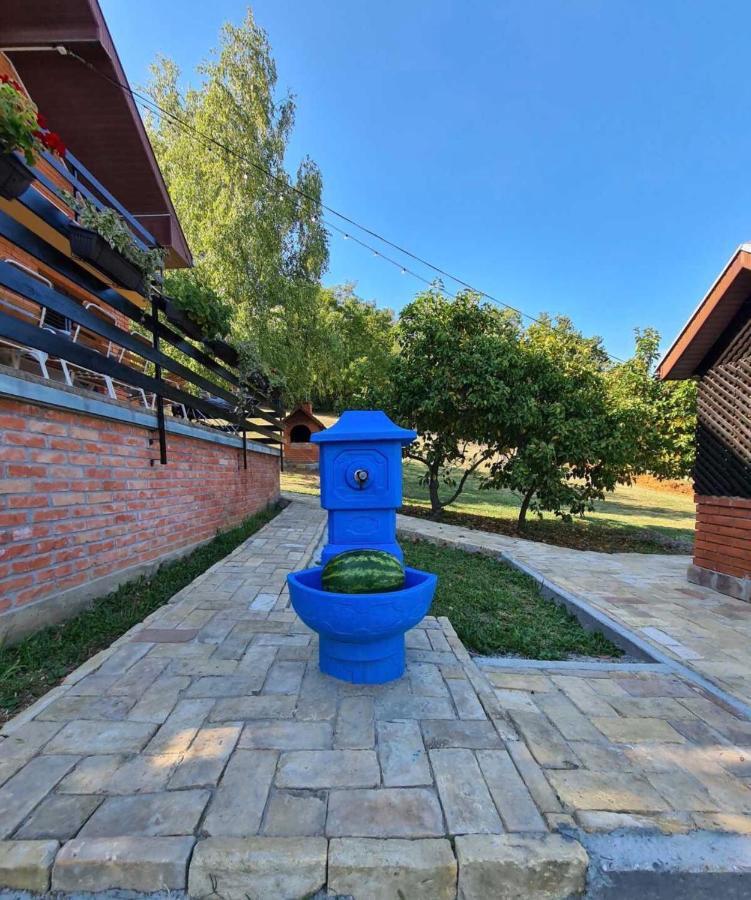 Fruska Pool House Villa Sremska Kamenica Ngoại thất bức ảnh