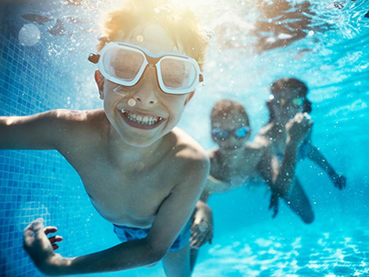 Fruska Pool House Villa Sremska Kamenica Ngoại thất bức ảnh