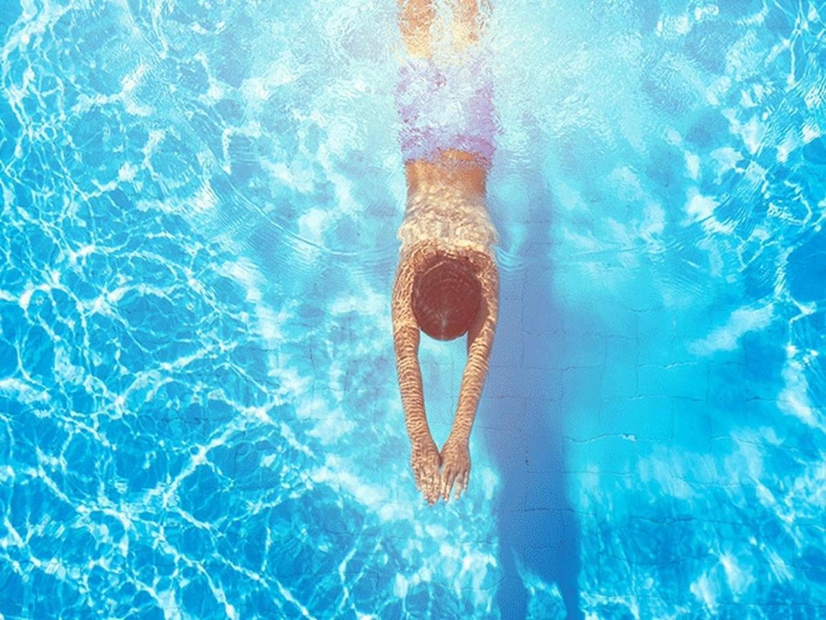 Fruska Pool House Villa Sremska Kamenica Ngoại thất bức ảnh