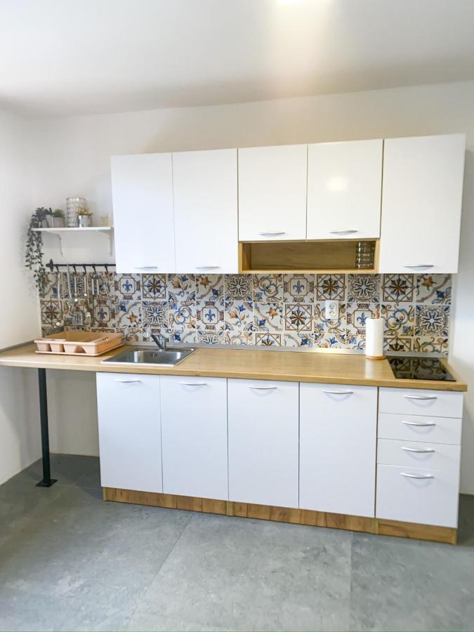 Fruska Pool House Villa Sremska Kamenica Ngoại thất bức ảnh
