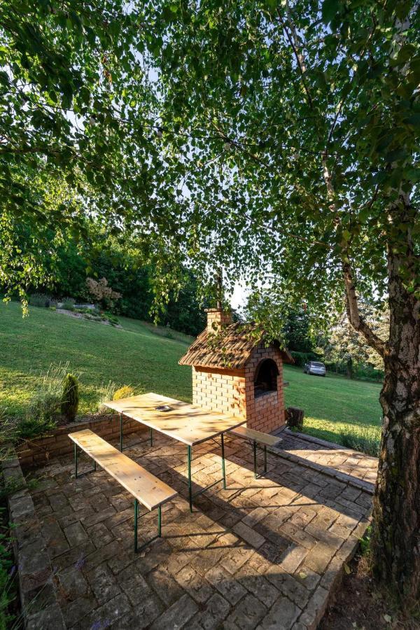 Fruska Pool House Villa Sremska Kamenica Ngoại thất bức ảnh