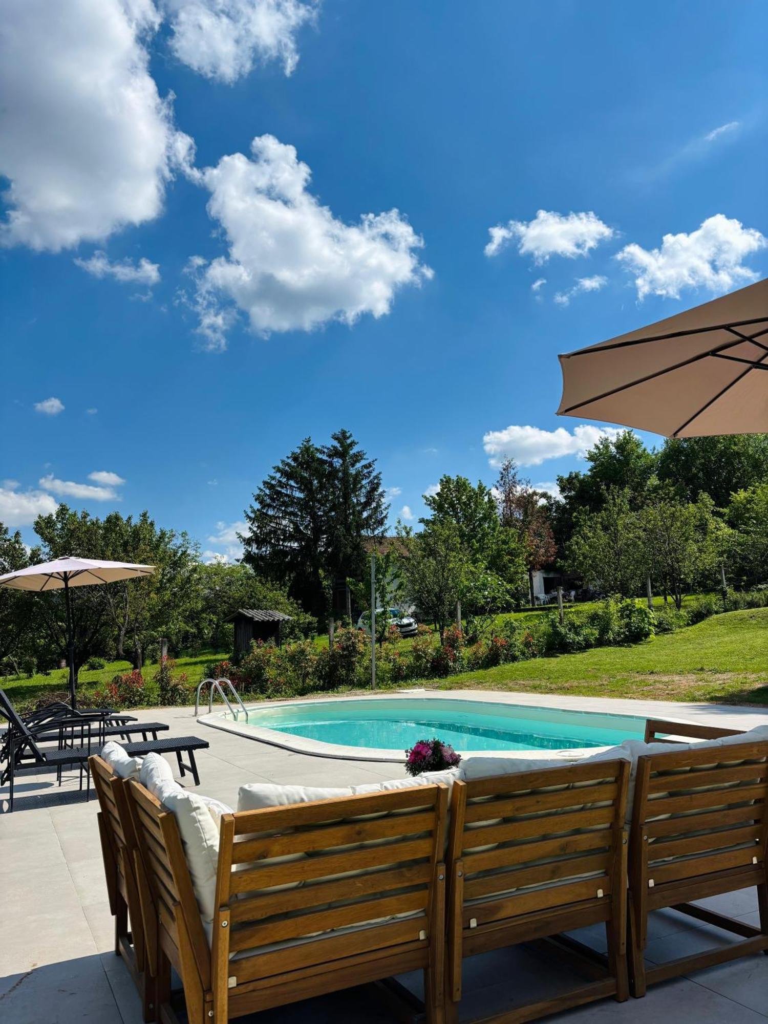 Fruska Pool House Villa Sremska Kamenica Ngoại thất bức ảnh