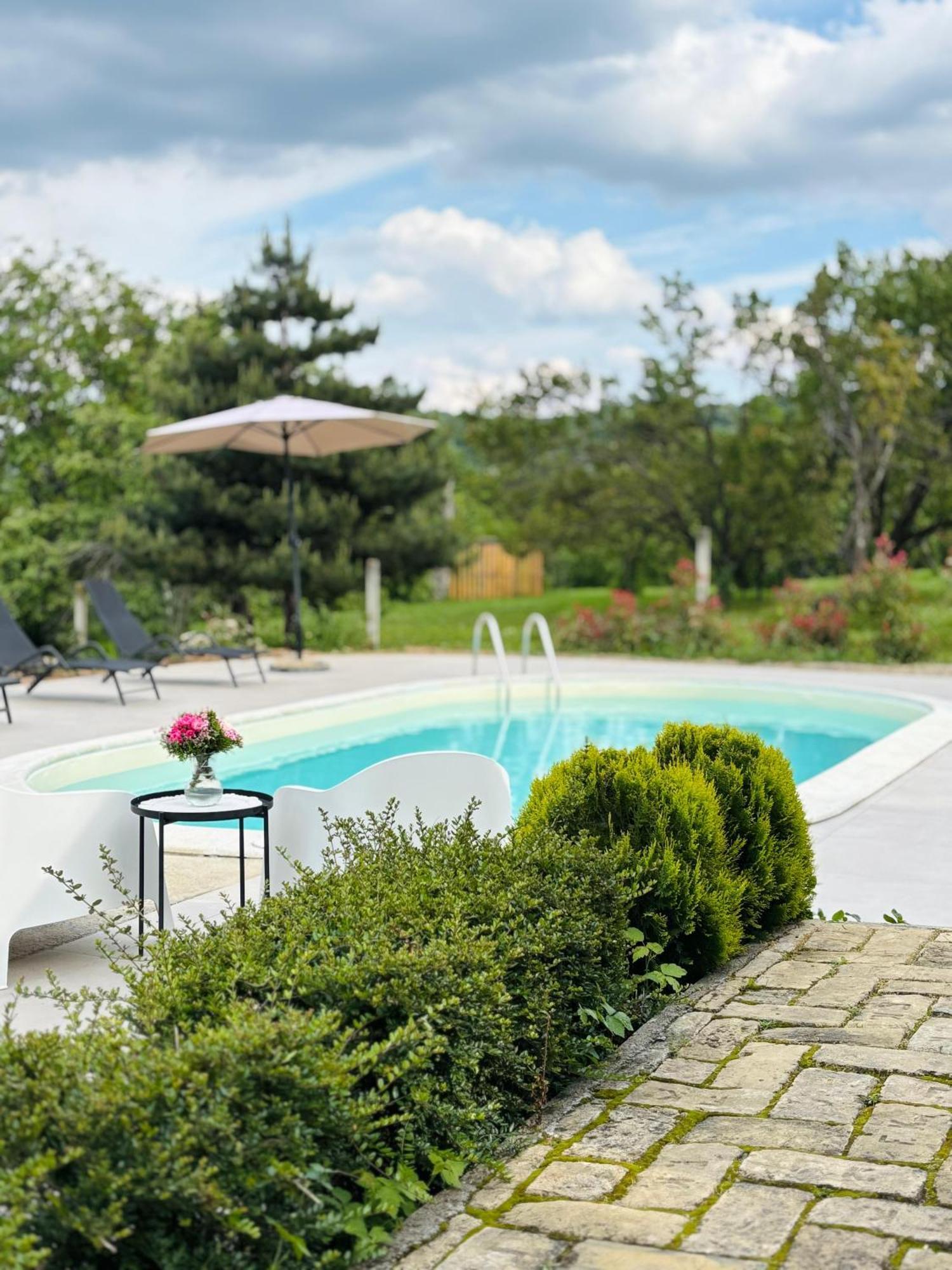 Fruska Pool House Villa Sremska Kamenica Ngoại thất bức ảnh