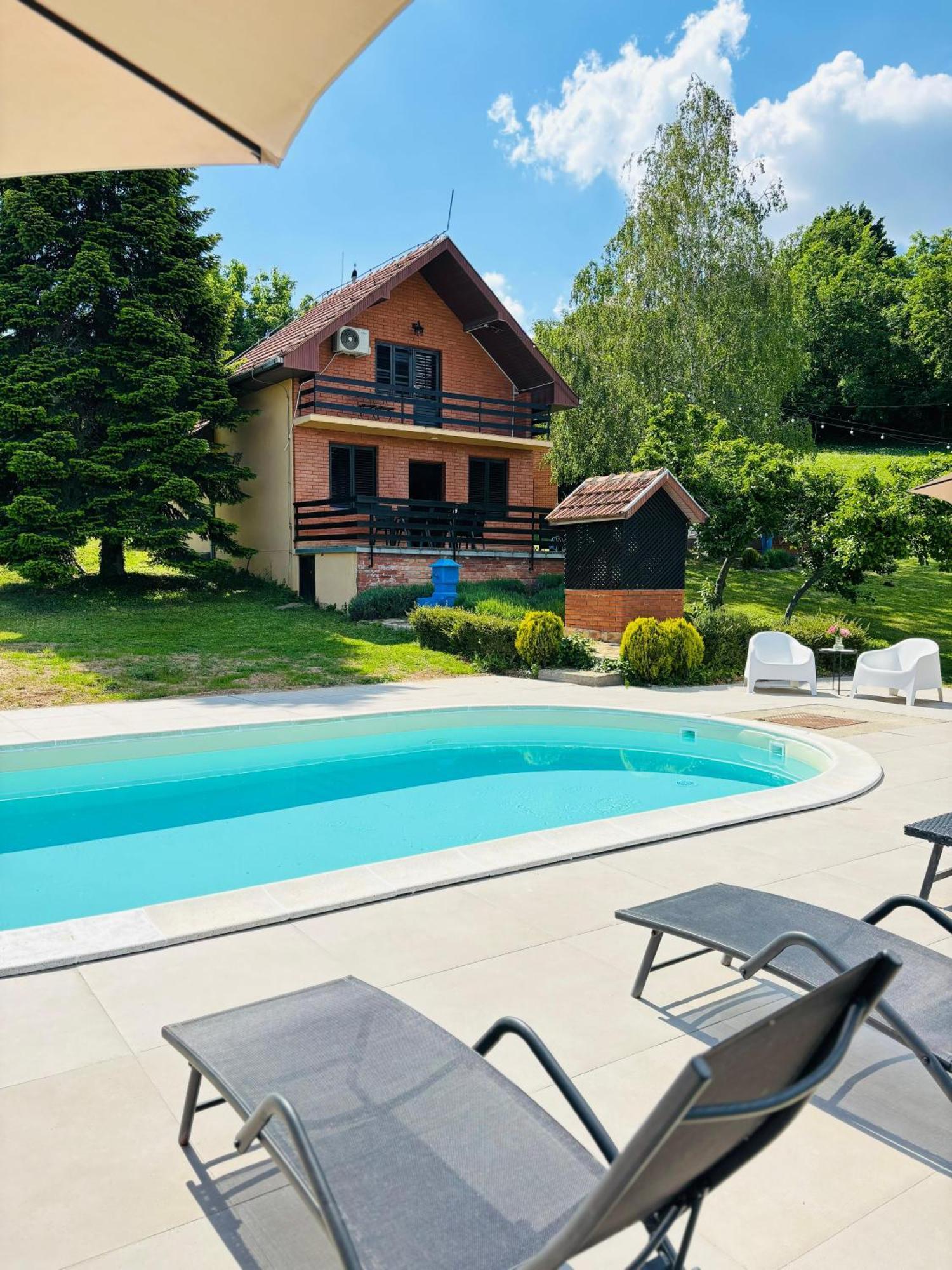 Fruska Pool House Villa Sremska Kamenica Ngoại thất bức ảnh